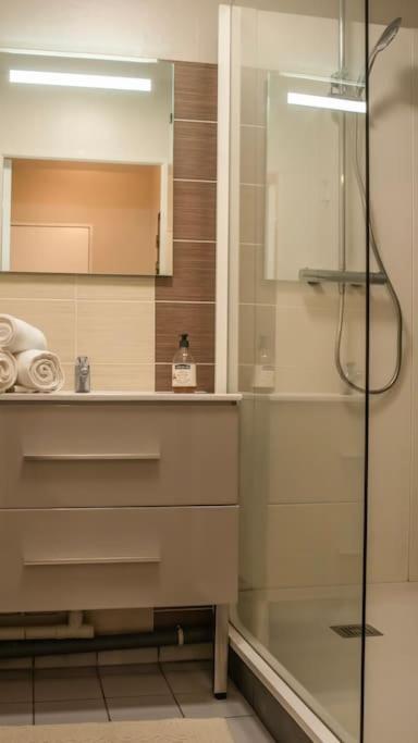Logement Centre Ville De Reims - Commerces - Wifi Luaran gambar