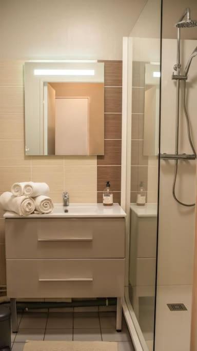 Logement Centre Ville De Reims - Commerces - Wifi Luaran gambar